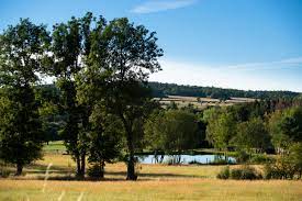 tourisme de la forêt de saint hubert