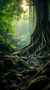 green nature rainforest aesthetic 95