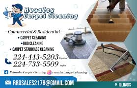 ros carpet cleaning wheeling il