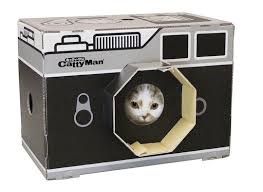 catty man camera cat scratch box