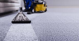 professional carpet cleaning in denver