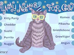 Click on the names below to learn more about their meaning, history and origins. 76 Funny Names For Cats