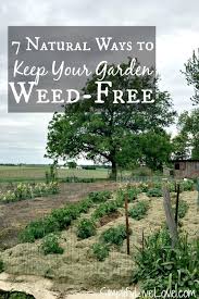 weed free garden