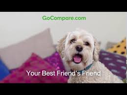 And if that happens, your premiums could go up when you try to take out insurance again. Gocompare Best Friend 20 Youtube