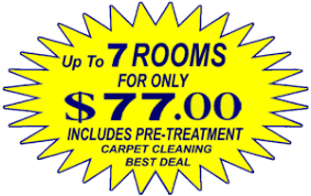 chandler carpet cleaning clean up to