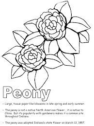 Select from 35919 printable coloring pages of cartoons, animals, nature, bible and many more. Peony Coloring Page Coloring Home