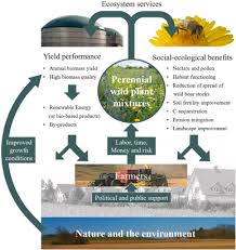 A Review On Second Generation Biofuel