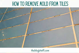 how to remove mold from tile grout 7