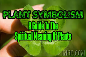 Plant Symbolism A Guide To The Spiritual Meaning Of Plants