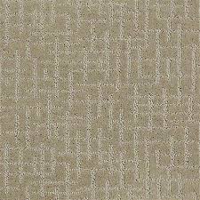 carpet 00101 7a2u8 by shaw flooring