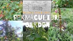 design your own permaculture garden