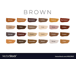 Brown Paint Color Swatches With Shade