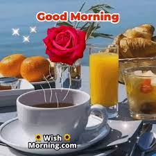 good morning gif images wish morning