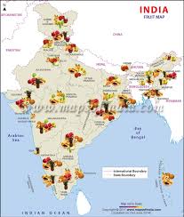 Fruits Indian Fruit Producing States