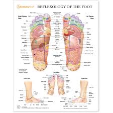 Reflexology Of The Foot Chart Poster Laminated