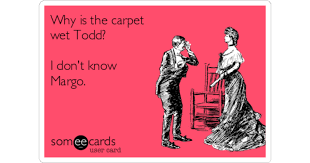 why is the carpet wet todd i don t
