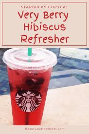 homemade very berry hibiscus refresher