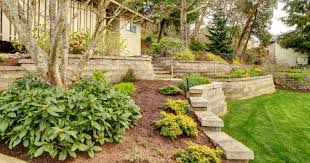 Hillside Landscaping In Your Backyard