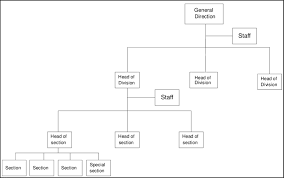 Simplified Organizational Chart Of The Parisian Accounting