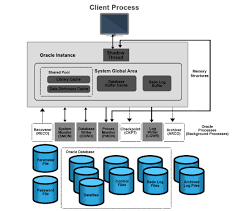 what is oracle database guide to