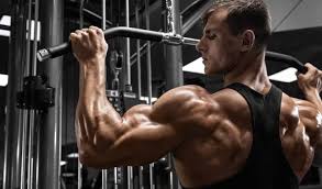 how often should you train arms 5