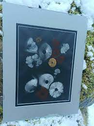 Mushroom spore print artist based in Portland, OR -- 🍄💜 : r/Portland
