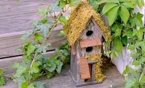 Fairy Garden Ideas The Home Depot