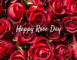 happy rose day 2018 wishes love