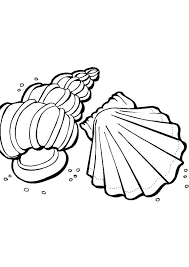 Download or print this amazing coloring page: Coloring Pages Beach Shells Coloring Page