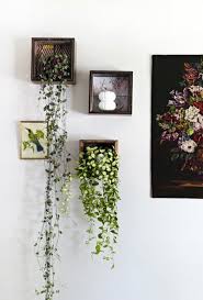 fresh ideas for decorating with houseplants