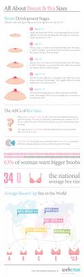 Clean Breast Sizes Images Boob Size Calculator Cup Size