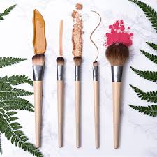 ecotools makeup brush set for eyeshadow