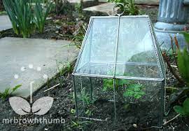Garden Cloches To Protect Young Plants