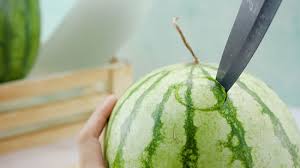 how to make a vodka watermelon 13