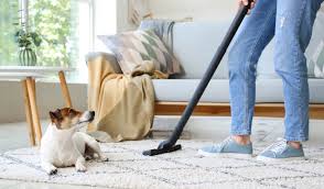 10 ways to get dog hair out of carpet