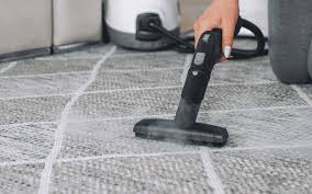 how to clean carpet mold storables