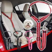 323 Dog Seat Belt Generation Dog
