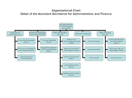 Organizational Chart Detail Of The Areas Under The Assistant