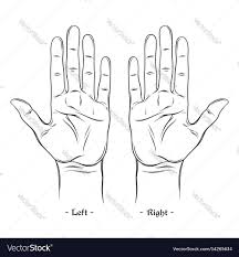 Palmistry Or Chiromancy Chart Blank Template
