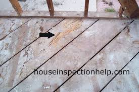 Sub Flooring Termite Damage