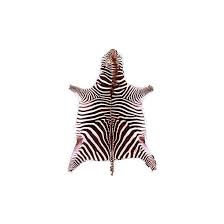 african zebra skin rug decoration