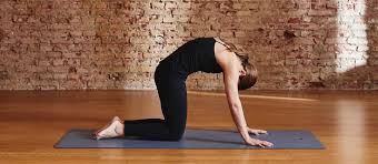 Gerade als yoga anfänger solltest du dich natürlich informieren. Hatha Yoga Alles Uber Den Yoga Stil Und Die Besten Ubungen Lotuscrafts