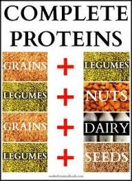 Complete Protein Combination Chart Bing Images Vegan