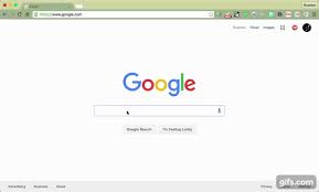 google search bar tidbit animated gif