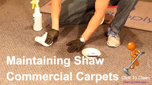 maintaining shaw commercial carpets