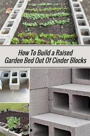 Garden Bed Ideas