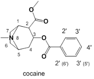 List of cocaine analogues - Wikipedia