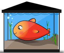 free vector gold fish tank free vector