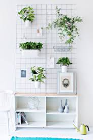 Press a suction cup onto a glass ceiling and thread a monofilament wire or fishing line through it to hang your object. Indoor Garden Idea Hang Your Plants From The Ceiling Walls