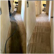 carpet savers carpet cleaning 193